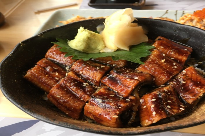 清邁的Fin日料餐廳的鰻魚飯
