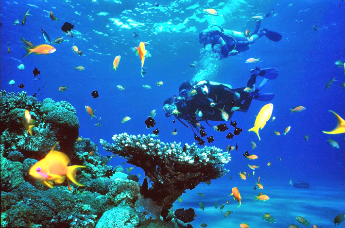 斯米兰群岛的潜水活动
