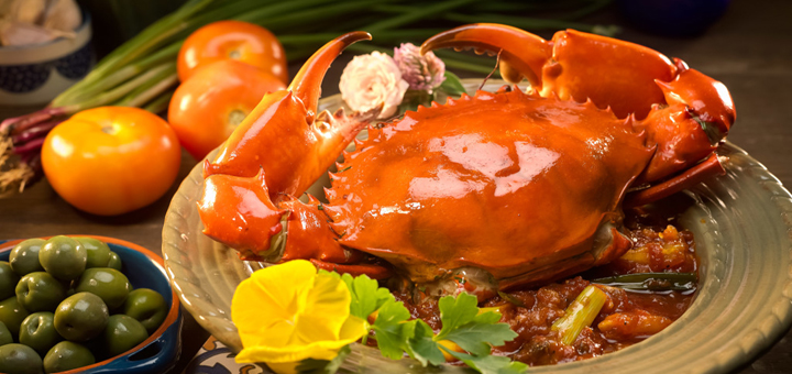 蘇梅島Motherland Seafood，網評超高的泰國菜餐廳