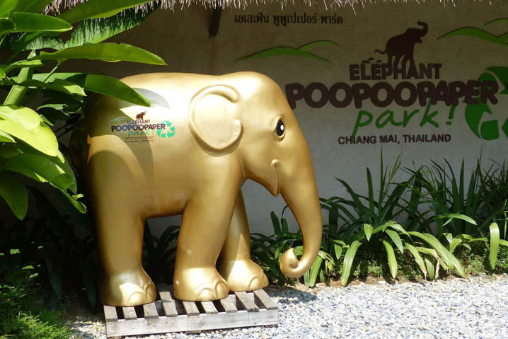 Elephant Poopoopaper Park