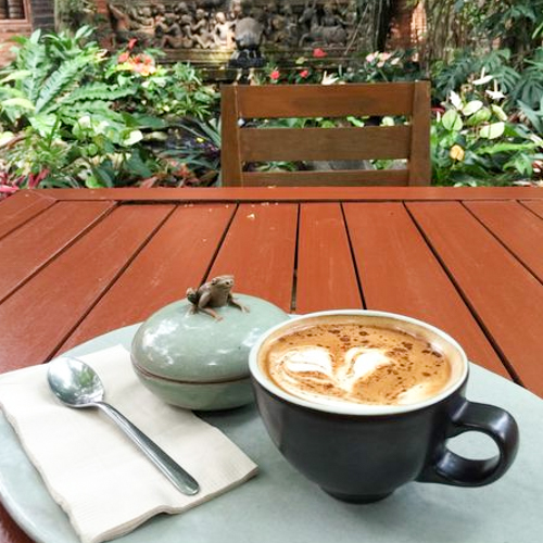Clay Studio Coffee in the Garden