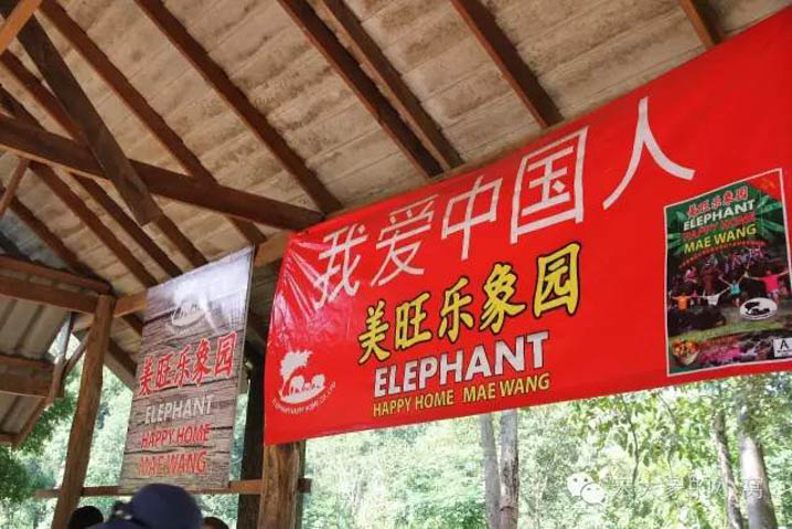 大象营中文