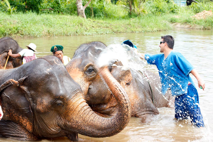 大象洗澡