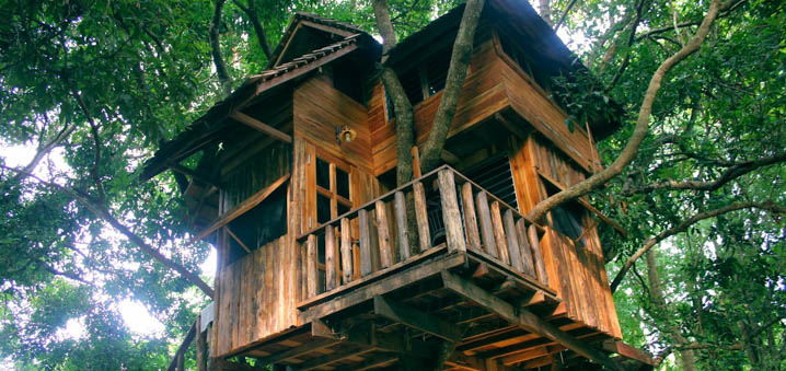 Rabeang Pasak Tree House Resort，清迈童话里的树屋