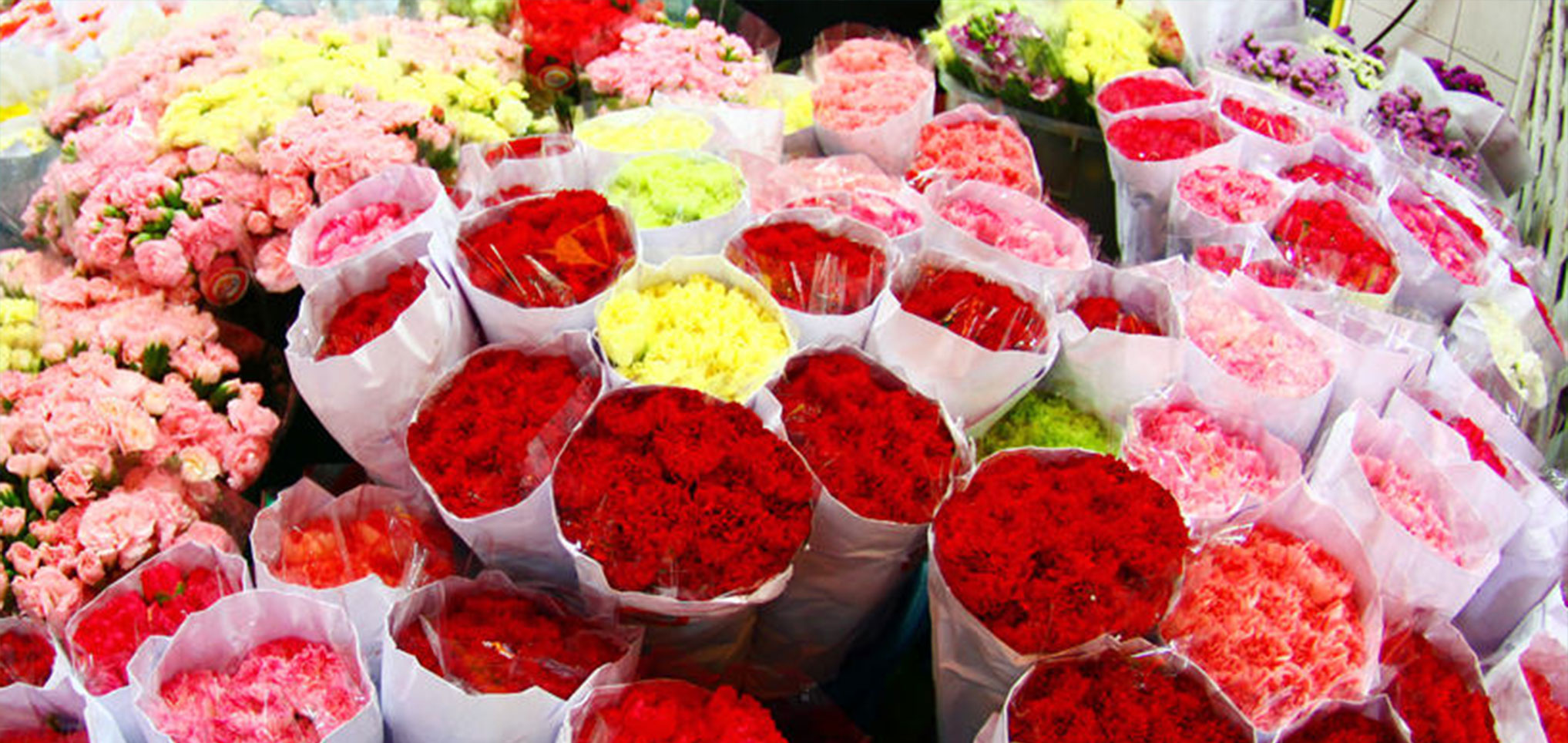 曼谷派克隆鲜花市场游玩攻略
