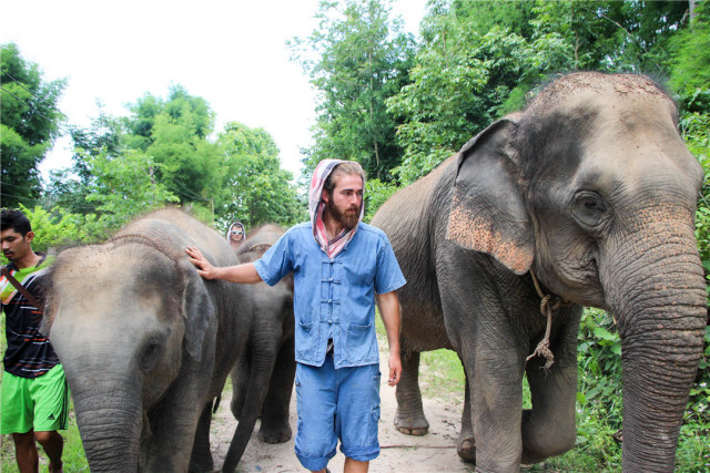 湄林大象庇护所（Maerim Elephant Sanctuary）