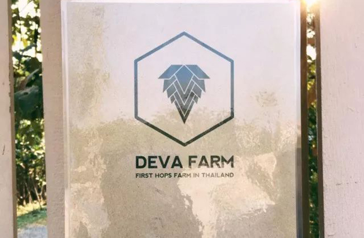 Deva Farm & Cafe，泰国第一家精酿啤酒花农场