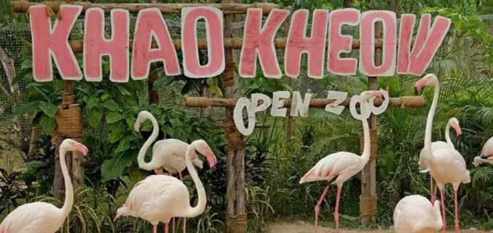 曼谷野生动物园（Safari World），亚洲最大的疯狂动物园