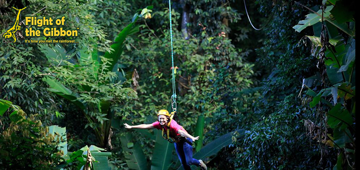 飞翔的长臂猿Flight of the Gibbon，体验别样泰国丛林飞跃