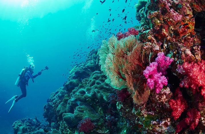 斯米兰群岛世界级的潜水点