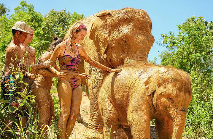 泰国之行，和大象亲密接触的9个建议 游客注意事项