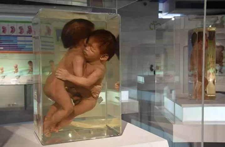 泰国最恐怖阴森的死亡博物馆
