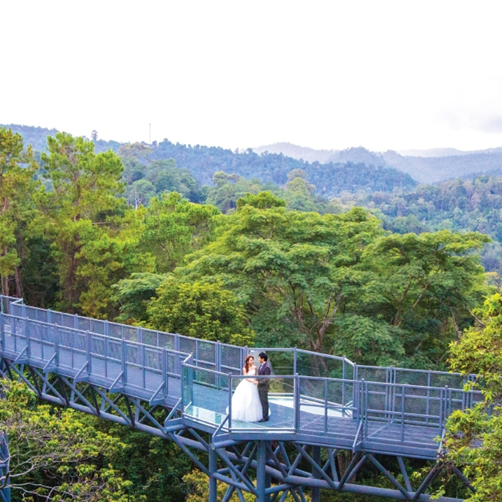 清迈诗丽吉王后植物园中的天空之桥，又美又刺激！