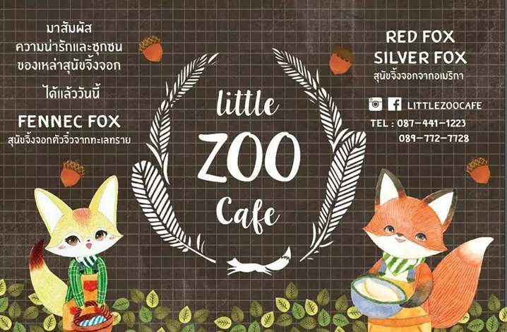 曼谷Little zoo cafe狐狸咖啡店