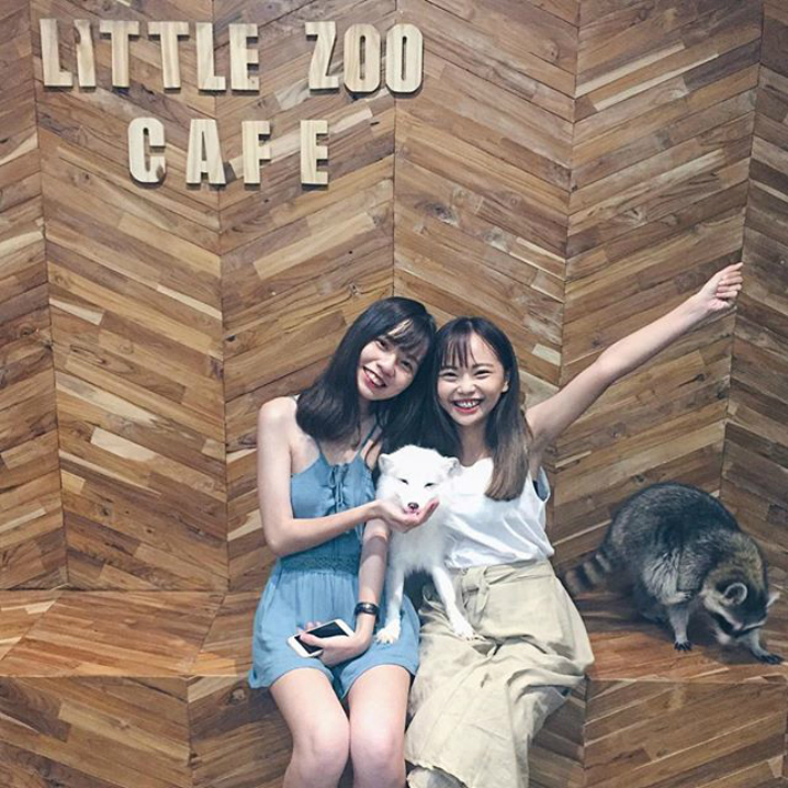 曼谷Little zoo cafe，此狐狸咖啡店全泰国独此一家
