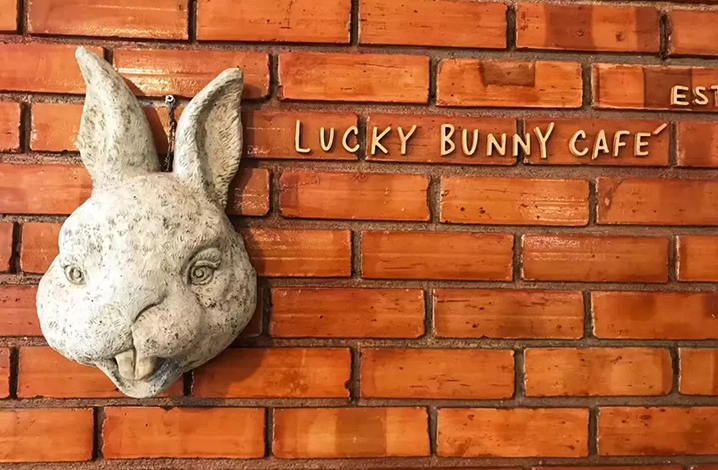 Lucky Bunny