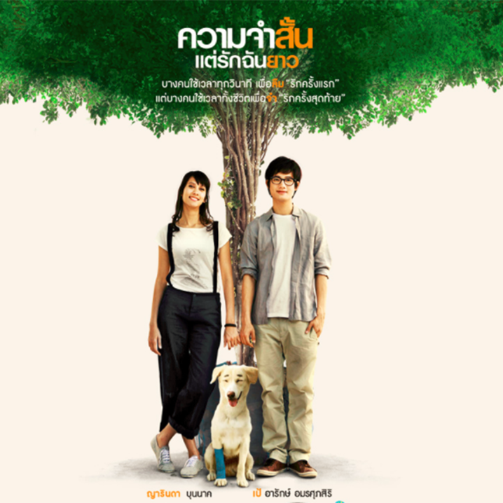 泰国电影《爱久弥新》，你和春天还差一份爱情攻略
