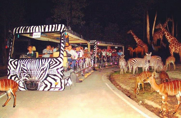 夜间动物园（Chiang Mai Night Safari）