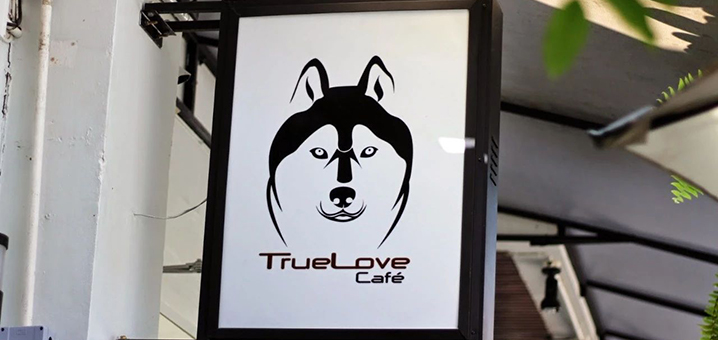 曼谷True Love Cafe咖啡店，一波二哈在曼谷等你