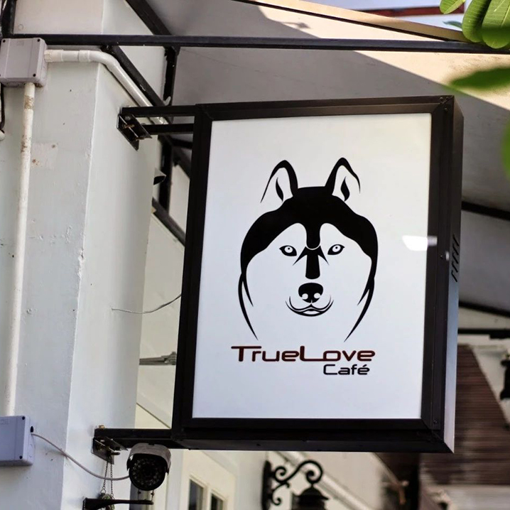 曼谷True Love Cafe咖啡店，一波二哈在曼谷等你