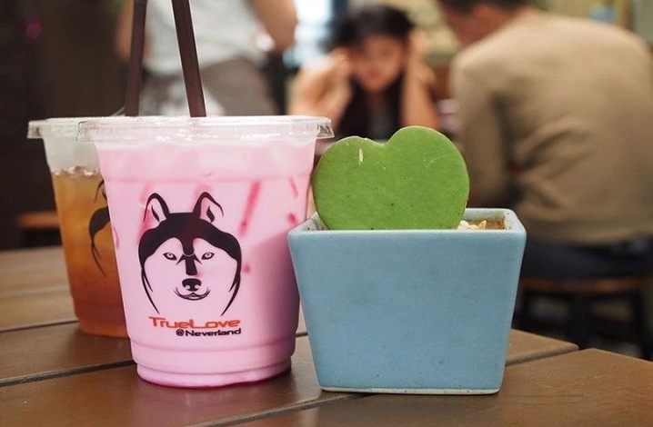曼谷True Love Cafe咖啡店