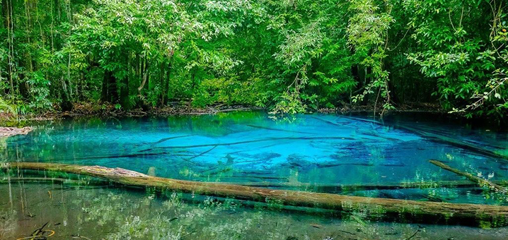 泰国的“九寨沟”竟在甲米，森林中的天然温泉翡翠池