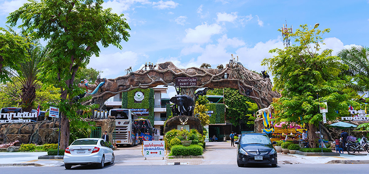 曼谷律实动物园（Dusit Zoo）月底关门，参观要趁早