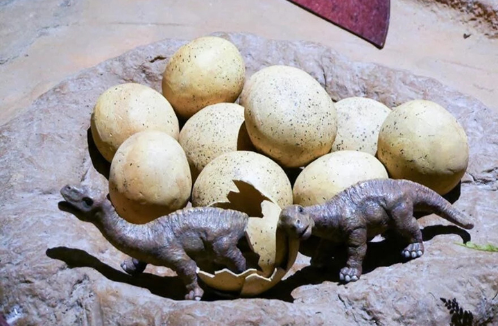 曼谷儿童探索博物馆竟可以挖恐龙