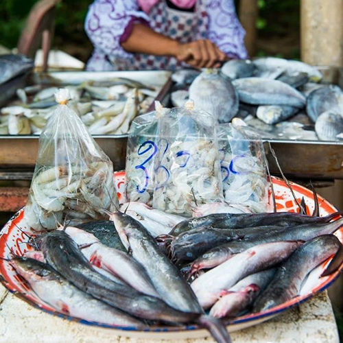 在兰塔岛海鲜市场买海鲜自己加工，做一回当地人