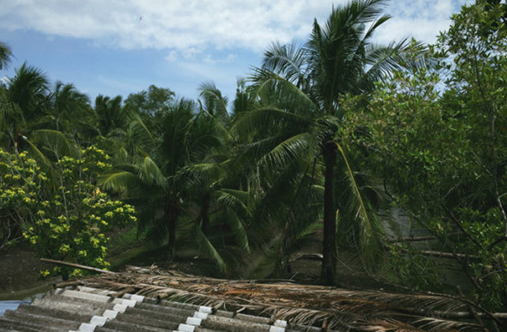 泰国出名的椰子王国——安帕瓦椰林埠
