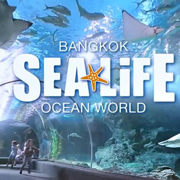 曼谷暹罗海洋世界Sea Life Bangkok Ocean World