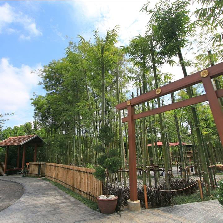 清迈日式竹林庭院餐厅Nekoemon café 