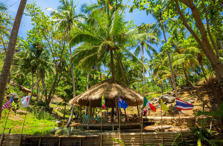 普吉岛niu beach海景大树秋千，探寻神秘沙滩上的巴厘岛秋千