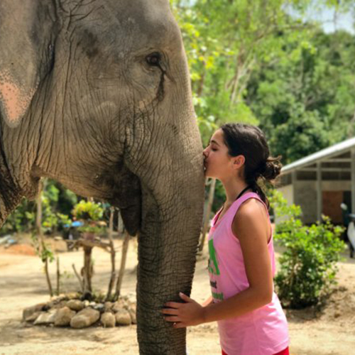 普吉岛五大大象保护营 拒绝骑象，带着孩子去玩