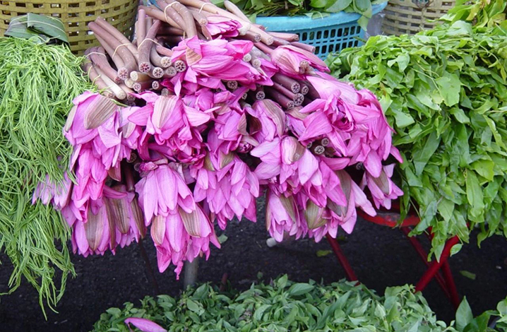 泰国美食 莲花这种神圣的植物，在泰国竟然这样吃