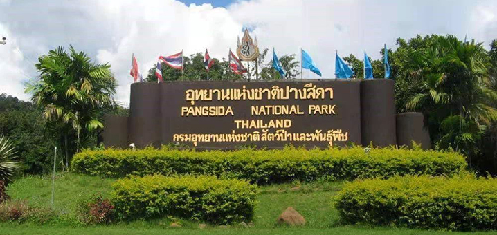 泰國龐斯達國家公園的蝴蝶谷，人人都能做含香