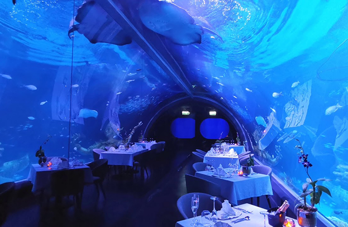 在泰国的最大水族馆餐厅，与海洋生物共进晚餐