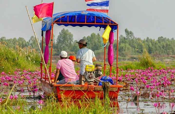 泰國小眾景點烏隆他尼攻略，泛舟5000畝紅蓮花海