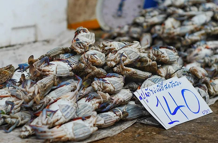 去最浪的泰国，吃最猛的海鲜，这几个海鲜市场绝不能错过
