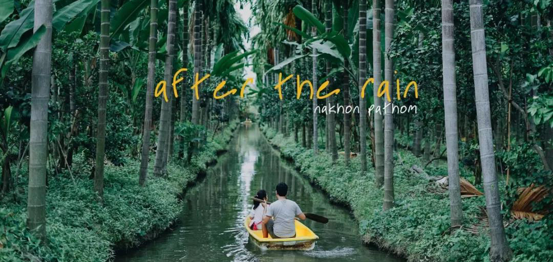 去泰国“热带雨林”泛舟喝下午茶，这种文艺玩法见过吗?