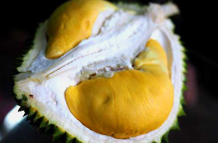 榴莲忘返，来尖竹汶吃最新鲜最正宗最香甜的泰国榴莲